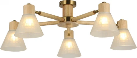 Потолочная люстра на штанге Arte Lamp A4096PL-5BR Meleph (220V)