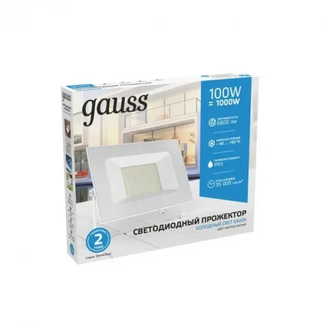 Прожектор уличный Gauss 613120300