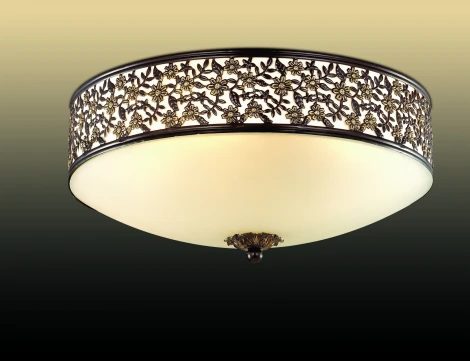 Потолочный светильник Odeon Light Sagitta 2669/4C