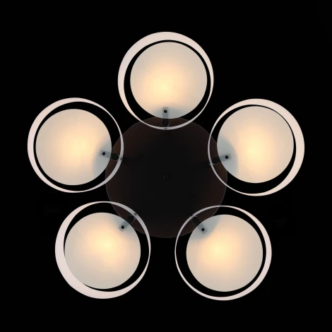 Потолочная люстра ST Luce Foresta SL483.402.05