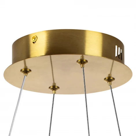 Подвесной светильник светодиодный Lightstar Vidare 699043 (220V, на тросе)