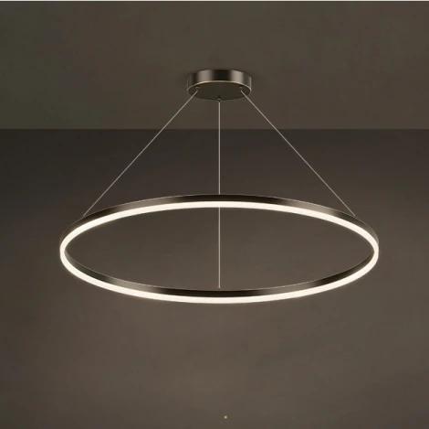 Кольцевой подвесной светильник Cruise One Lux D60 ImperiumLoft Cruise-One-Lux01 (204621-23) (LED, 220V, на тросе, кольцо)