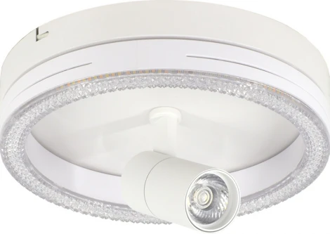 Настенно-потолочный светодиодный светильник Escada 20044LED 20044SMA/02LED WH 30Вт, металл/акрил, белый