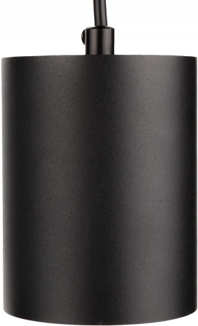 Подвесной светильник Ritter Arton 59985 2