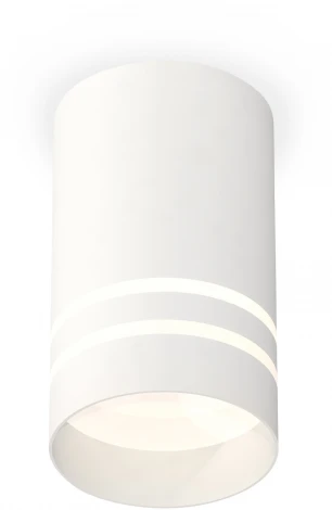 Накладной точечный светильник Ambrella Techno Spot XS7421022 (220V, круглые)