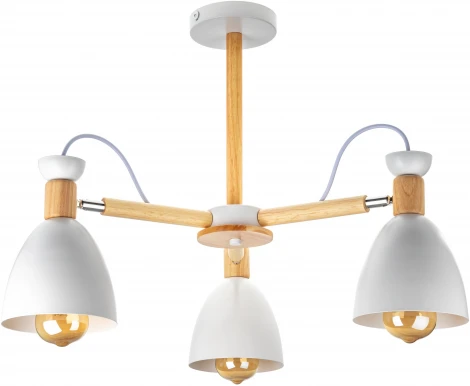 Потолочная люстра на штанге Ritter Volante 52594 3