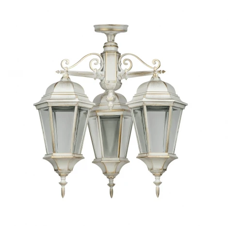 Потолочный светильник уличный Oasis Light ASTORIA 2 91470LA/3 cover Gw (220V, IP44)