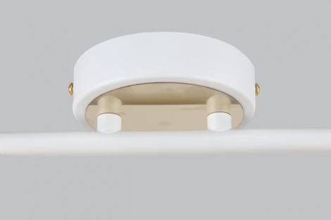 Спот на штанге Escada 1137/2A (220V)