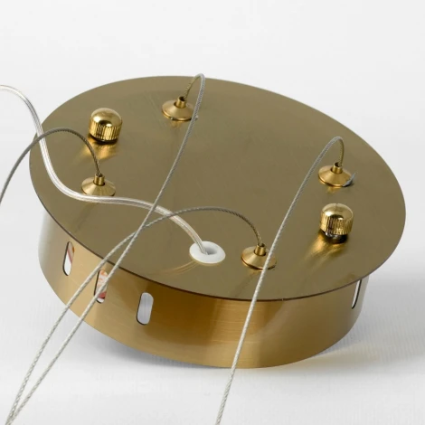 Подвесная люстра Lussole LGO Conecuh LSP-7217 (LED, 220V, на тросе)