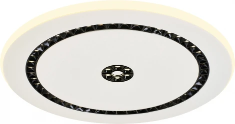 Потолочный светильник круглый F-Promo Skiva 4433-1C (LED, 220V, круглые)