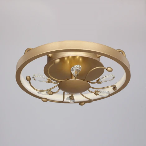 Потолочная люстра Favourite Waltz 2534-2C