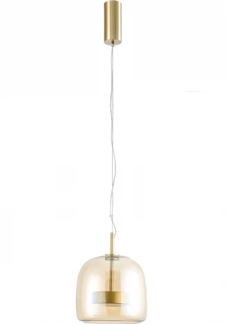 Подвесной светильник Favourite Reflex 4235-1P (LED, 220V, на тросе)