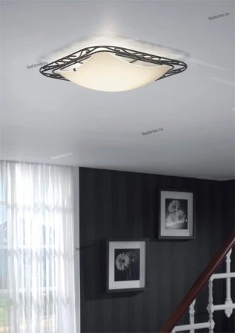 Massive Moira 30204-86-10