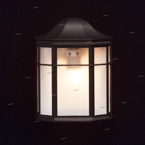 Настенный светильник уличный MW-Light Телаур 806020701