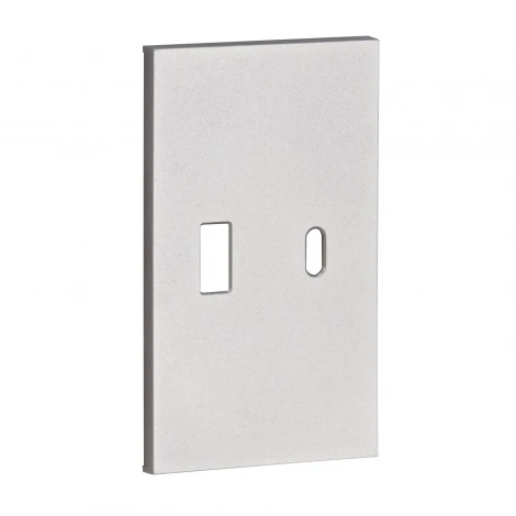 USB+type С, накладка 2-ух модульная серый матовый Meiton AS12C