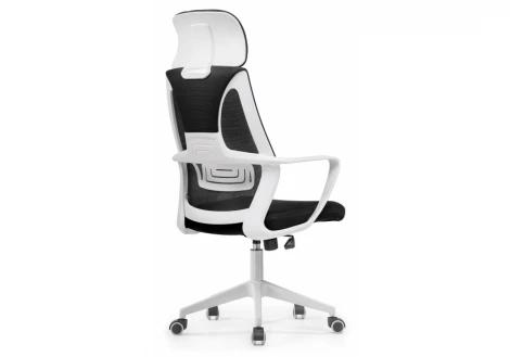 Компьютерное кресло Woodville Golem black / white 15333