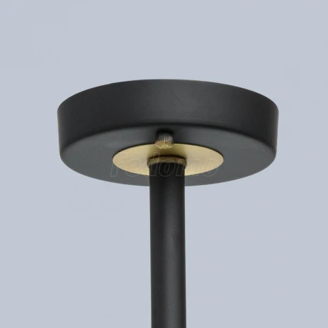 Потолочная люстра MW-Light ДельРей 700013408