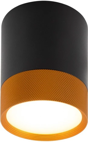 Накладной точечный светильник Denkirs DK401 DK4017-BG