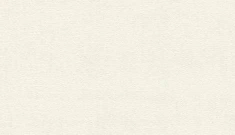 Обои виниловые Marburg Project 31837 10,05 x 0,53 м