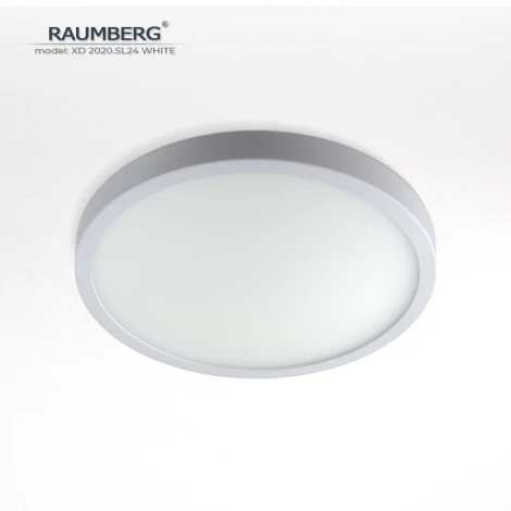 Потолочный светильник светодиодный Raumberg XD2020.SL24 White