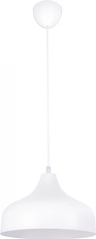 Подвесной светильник PS1N 000039513