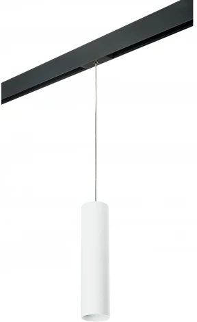 Трековый светильник однофазный 220V Lightstar Rullo PRORP496 (круглые)