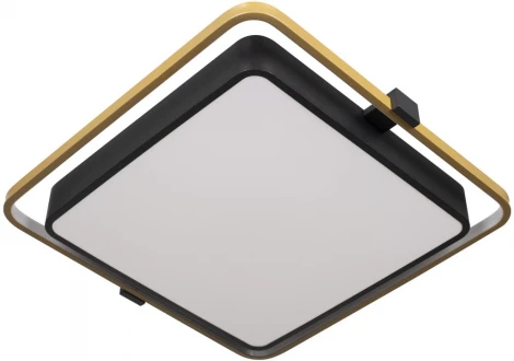 Потолочный светильник Mike 10172 (LED, 220V)