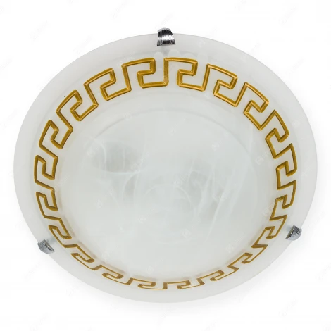 Настенно-потолочный светильник Toplight Gien TL9171Y-02BN