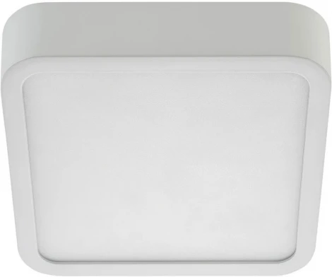 Точечный светильник светодиодный AM Group AM295 AM295 12W WH 4000K S (220V)