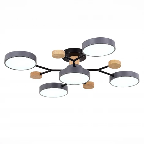 Потолочная люстра на штанге Evoluce Faema SLE6006-702-05