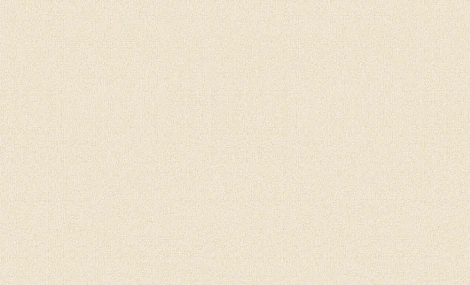 Обои виниловые Erismann Paradise 6 60114-12 10,05 x 1,06 м