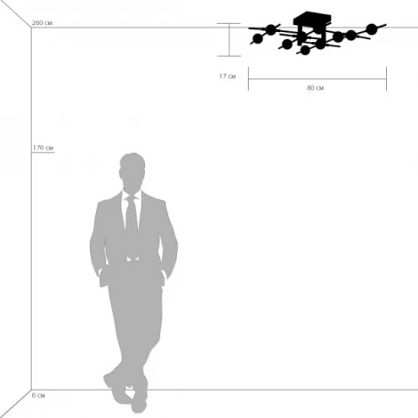 Потолочная люстра Lightstar Bergamo 745147 (LED, 220V)