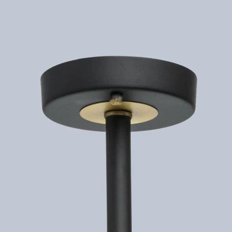Потолочная люстра MW-Light ДельРей 700013408