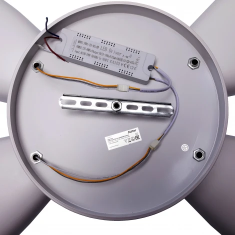 Потолочная люстра светодиодная с ДУ Ritter Farfalla 52099 7