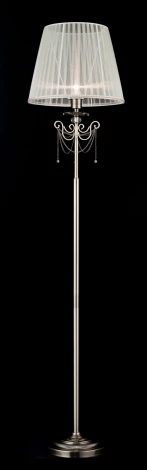 Торшер Maytoni Rapsodi RC305-FL-01-R