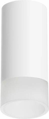 Точечный накладной светильник Lightstar Rullo R43631 (220V, круглые)