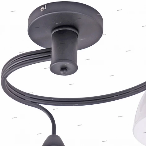 Потолочная люстра J-Light Fordy 1756/3C
