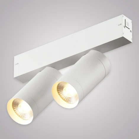 Трековый светильник однофазный светодиодный 220V 20W AM Group SMART CYLINDER AM528 WH-220V-2X10W SMART