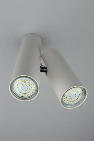 Спот Aployt Aksel APL.006.02.02