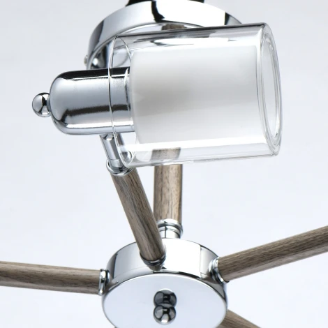 Потолочная люстра DeMarkt Форест 693012505