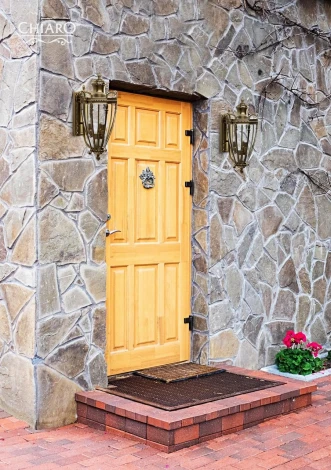 Настенный фонарь уличный Chiaro Мидос 802020903