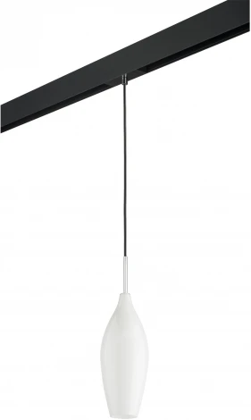 Трековый светильник однофазный 220V Lightstar Pentola PRO803020