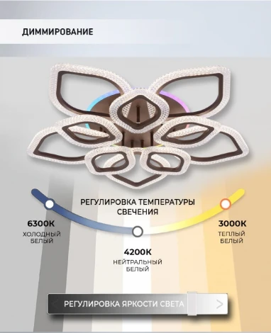 Потолочная люстра Seven Fires Dzhergo SF5046/11C-CF-RGB