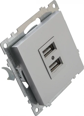 Розетка с USBх2 (серебро) Stekker Катрин 39588