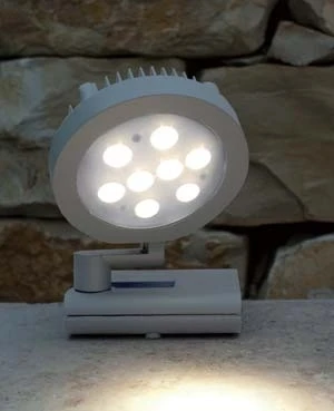 Прожектор уличный Oasis Light W6102S S