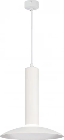 Подвесной светильник ЭРА PL14 WH (220V, на проводе)