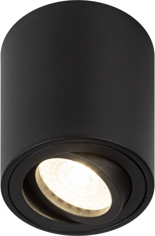 Точечный светильник ЭРА OL21 BK (220V)