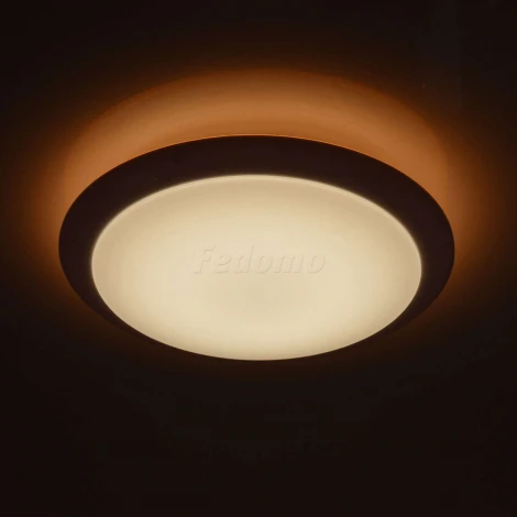 Потолочный светильник MW-Light Ривз 674014101