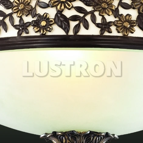Настенный светильник Odeon Light Sagitta 2669/1W
