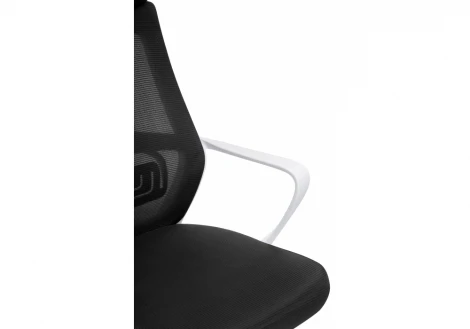Компьютерное кресло Woodville Golem black / white 15333